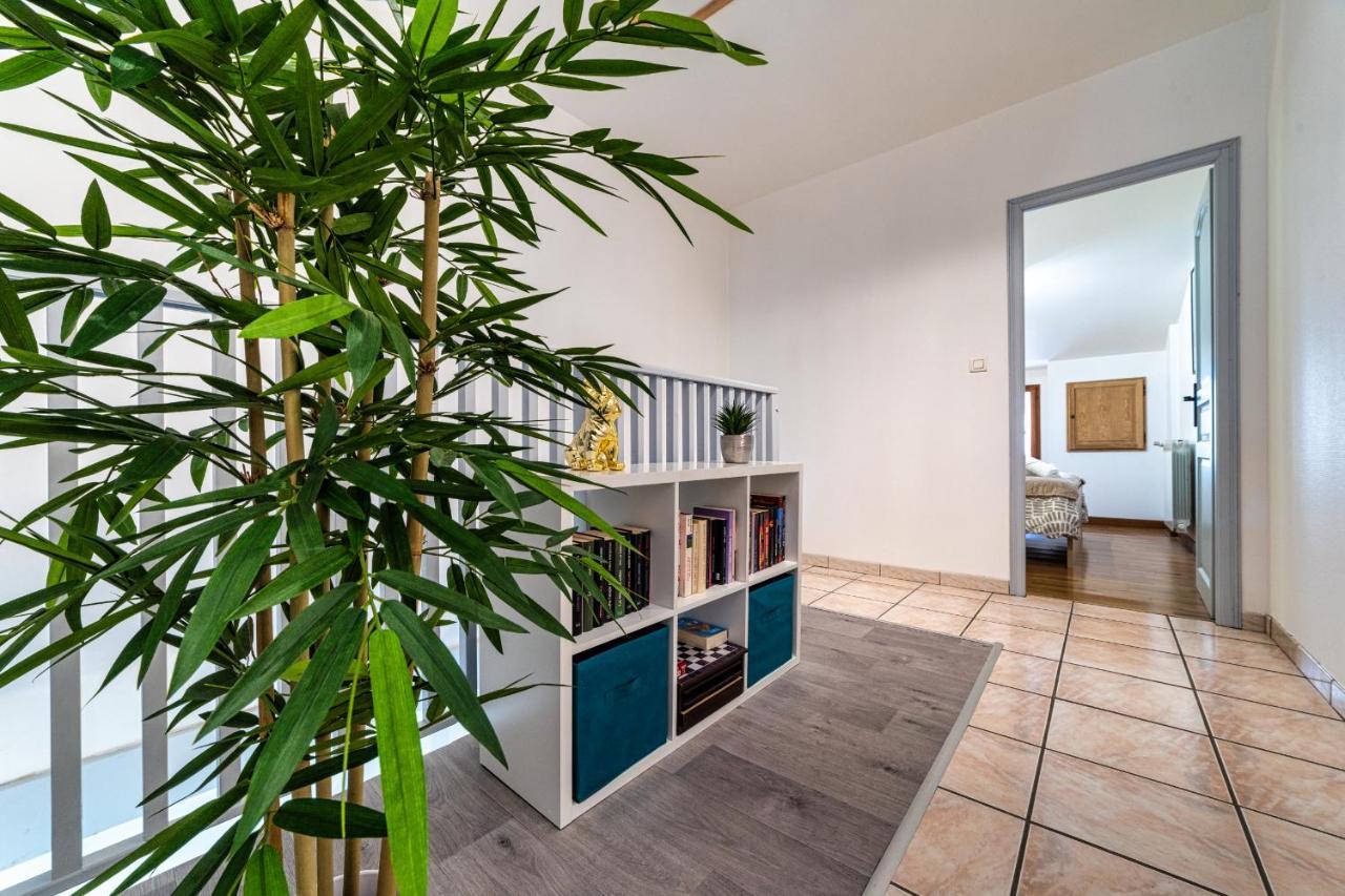 T3 Gaillac St-Jean-Fibre-Netflix-Parking Ngoại thất bức ảnh